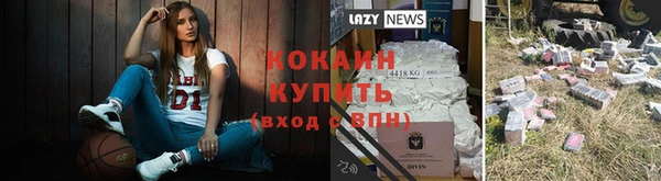 амф Карпинск