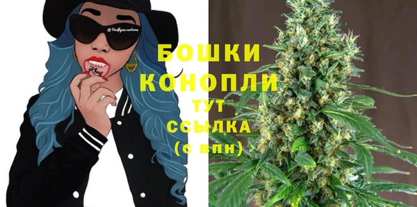 амф Карпинск