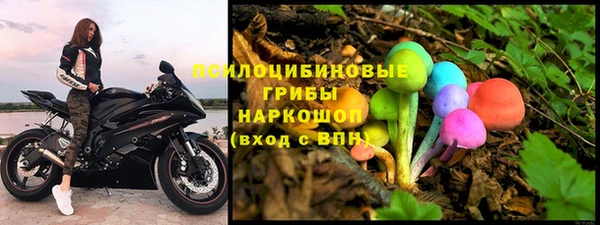 мескалин Касимов