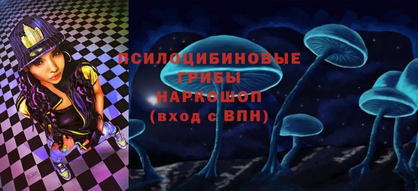 амф Карпинск