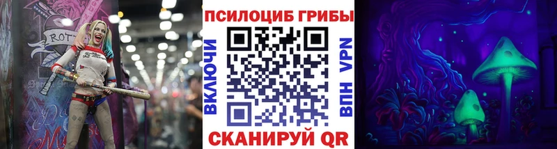 Псилоцибиновые грибы Psilocybine cubensis  Купить закладки  Ахтубинск 